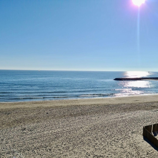  Agence du Casino Transaction : Appartement | CARNON-PLAGE (34280) | 70 m2 | 670 000 € 