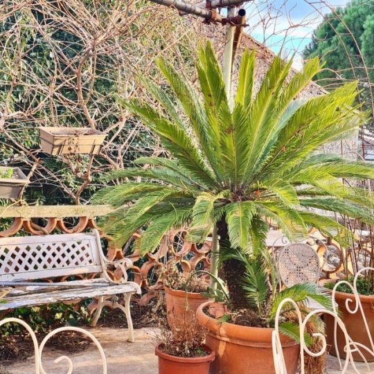 Agence du Casino Transaction : Maison / Villa | MONTBAZIN (34560) | 170.00m2 | 474 200 € 