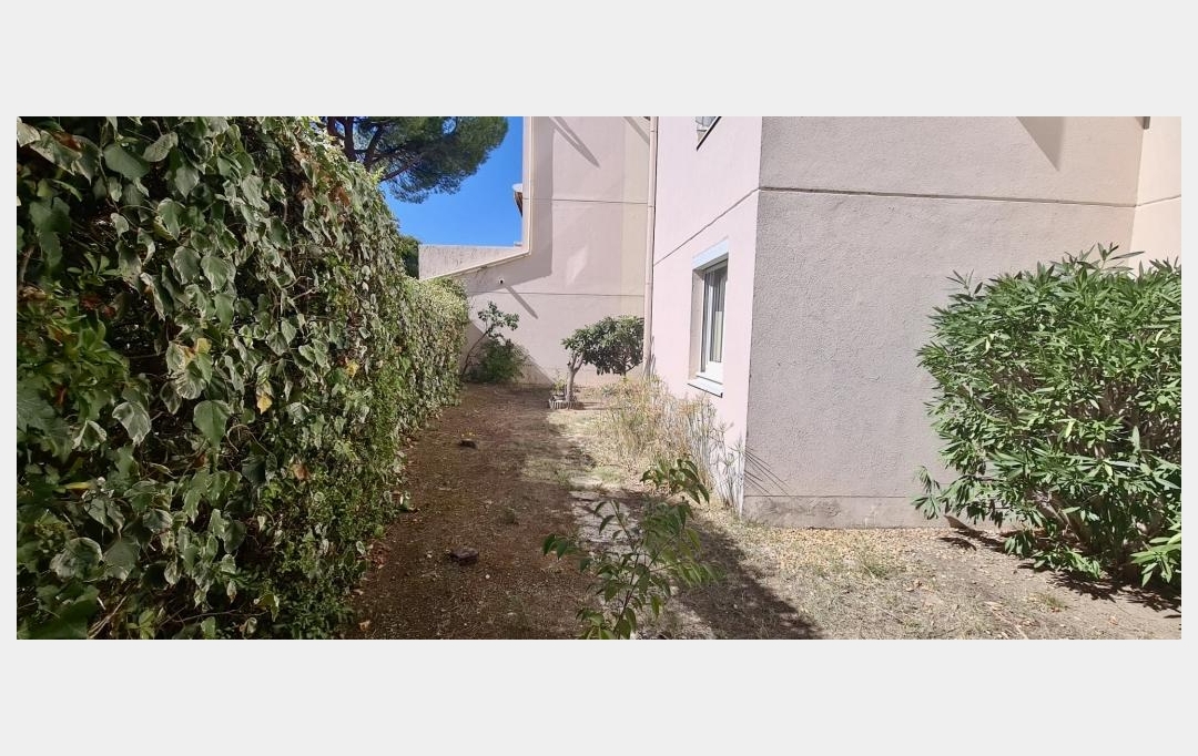 Agence du Casino Transaction : Appartement | MONTPELLIER (34070) | 75 m2 | 244 000 € 