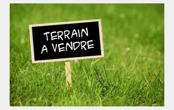  Agence du Casino Transaction Terrain | BALARUC-LES-BAINS (34540) | 0 m2 | 160 000 € 