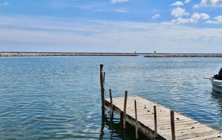 Activité commerciale MEZE 106 m2 55 000 € Activité commerciale MEZE 106 m2 55 000 €