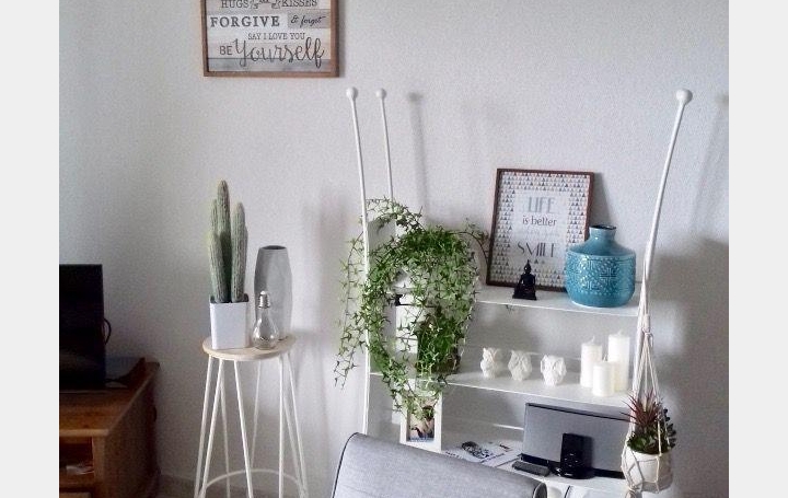 Agence du Casino Transaction : Appartement | MONTPELLIER (34080) | 50 m2 | 190 000 € 